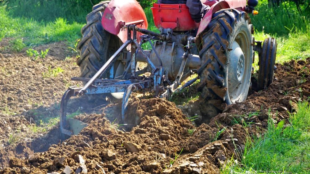 Travaux agricoles à Sabres